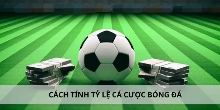 Bí Quyết Chinh Phục Cá Cược Bóng Đá 333Win Thắng Lớn Mỗi Ngày