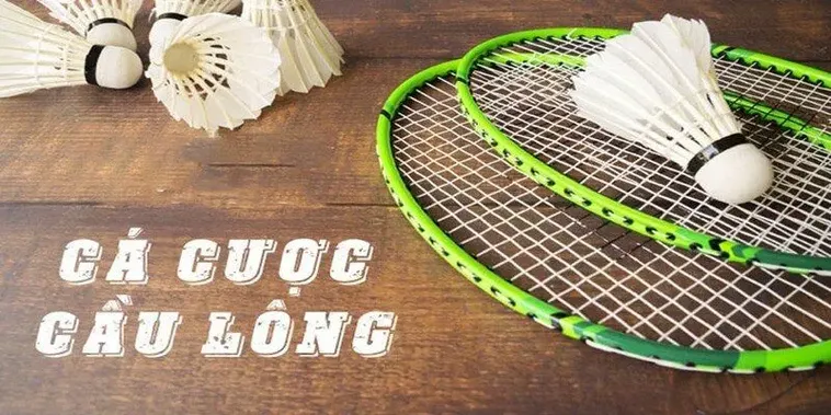 Tuyệt Chiêu Cá Cược Cầu Lông 333Win Mang Lại Lợi Nhuận Khủng