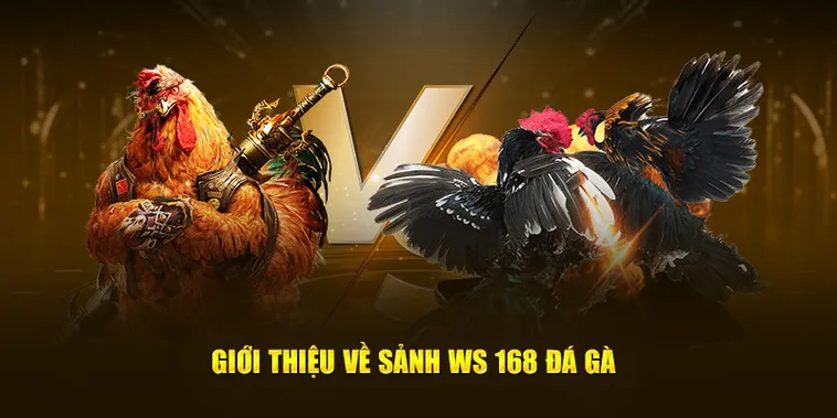 Hướng Dẫn Cá Cược Đá Gà WS168 Tại 333Win Chi Tiết Nhất Năm Nay