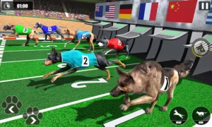 Tuyệt Chiêu Cá Cược Đua Chó 333Win Thắng Lớn Mỗi Ngày Cực Dễ