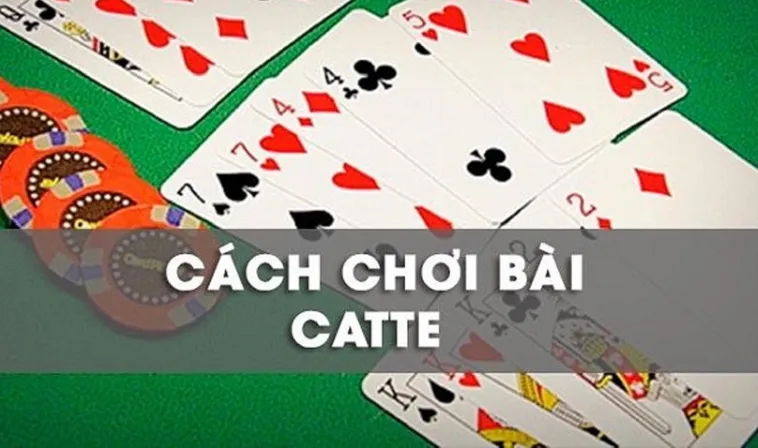 Tuyệt Chiêu Đánh Bài Sắc Tê 333Win Giành Chiến Thắng Đậm Cho Tân Thủ